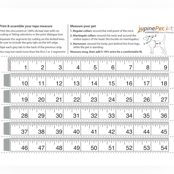 LupinePet Basics 3/4" Black 15-21" Step In Harness for Small Dogs - Picture 3 of 5